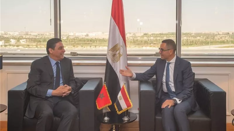 استثمارات في السيارات والغزل والنسيج.. تفاصيل لقاء وزير الاستثمار مع نظيره المغربي 