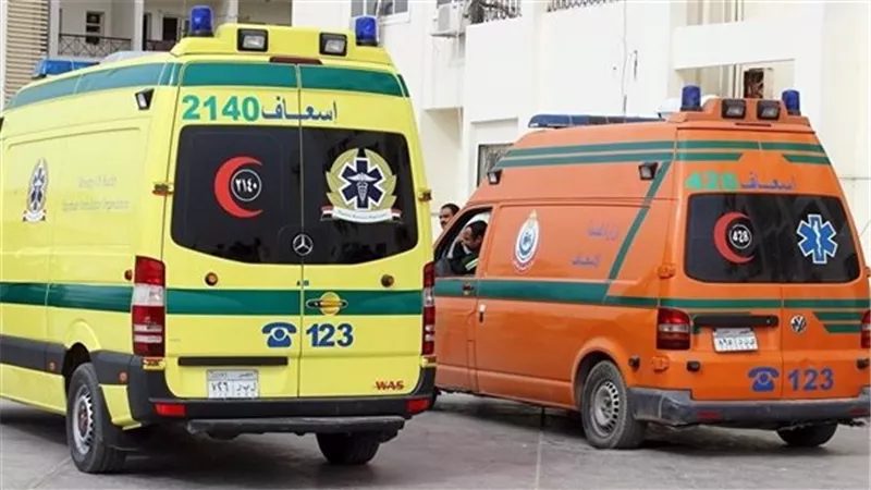 إصابة طبيب و4 من أسرته في انقلاب سيارة بطريق رأس غارب – المنيا