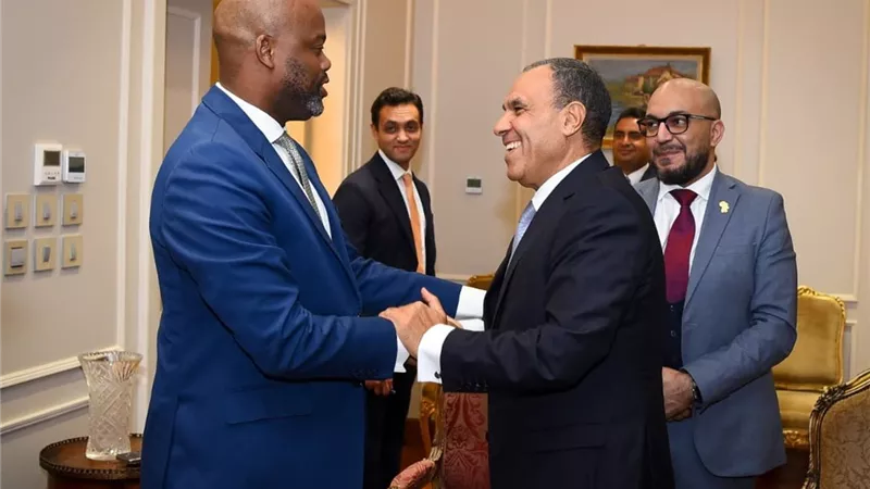 تفاصيل لقاء وزير الخارجية وسكرتير عام منطقة التجارة الحرة القارية الأفريقية
