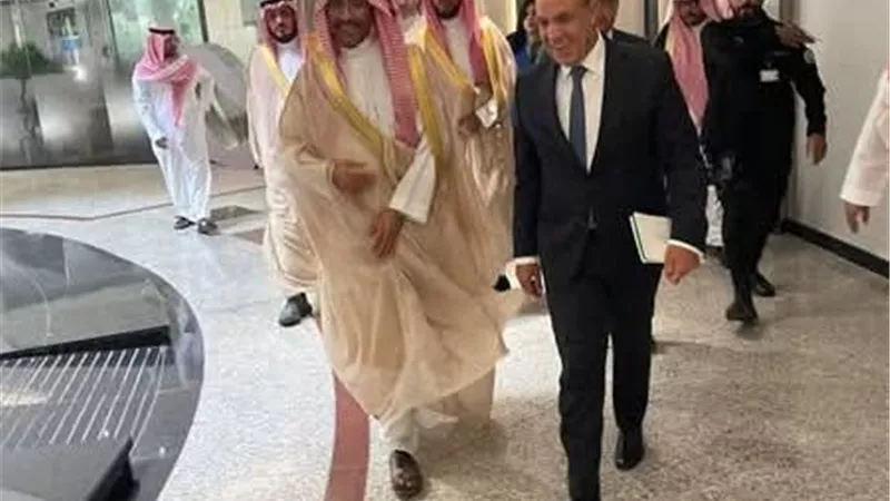 وزير الخارجية المصري يلتقي وزير الصناعة السعودي