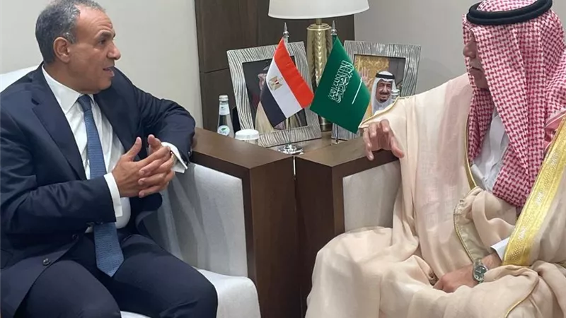 تفاصيل.. وزير الخارجية يؤكد على أهمية التوسع في الاستثمارات السعودية المباشرة في مصر