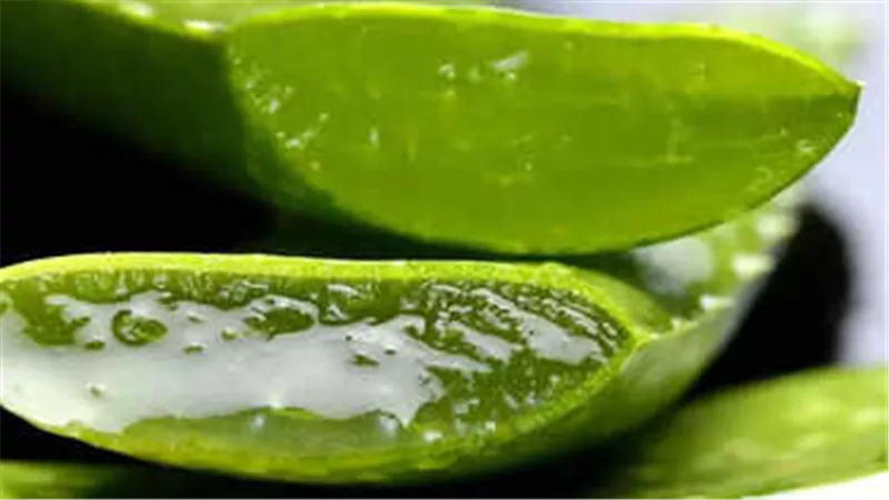 احذر من الإفراط في جل الصبار على البشرة.. 4 أضرار تجنبها 