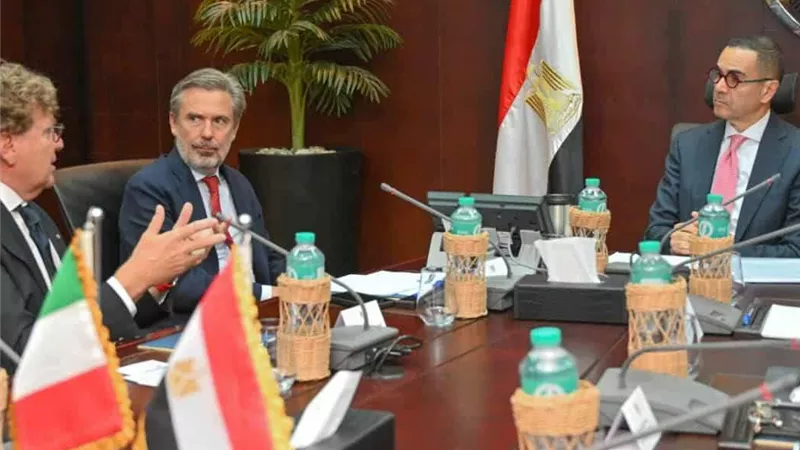 وزير الاستثمار: التكلفة الإنتاجية في مصر تنافسية والسوق المصرية تتميز بوفرة العمالة الماهرة