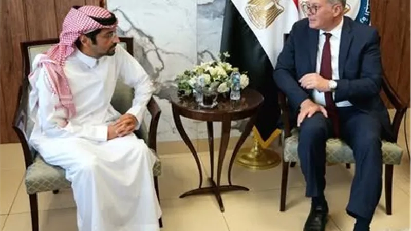 وزير البترول يبحث دعم الاستثمارات السعودية في صناعات البتروكيماويات والأسمدة بمصر