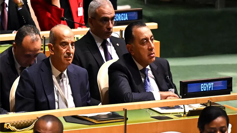 وزير الخارجية: مؤتمر حل الدولتين جاء في ظل ظروف شديدة الكارثية في قطاع غزة