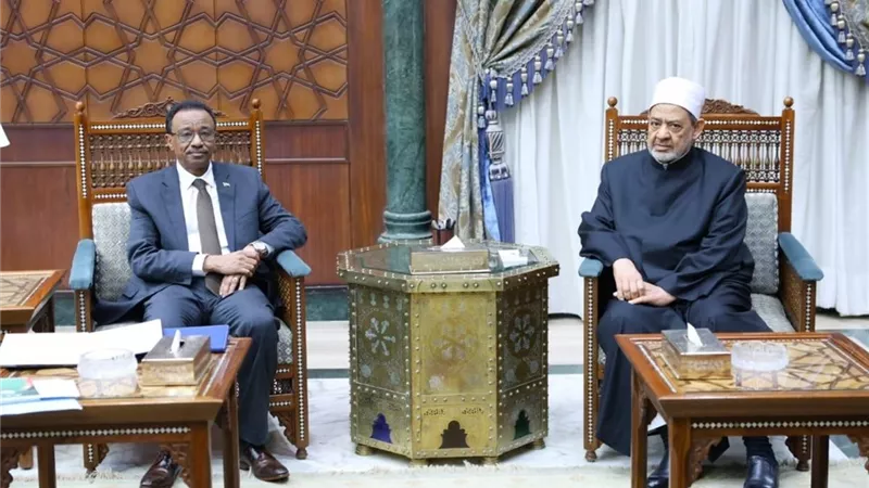 شيخ الأزهر: حريصون على دعم السودان في المجالات الدعوية والتعليمية والبحثية
