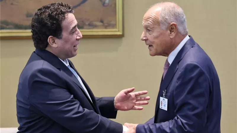 أبو الغيط يؤكد دعم الجهود المبذولة لتوحيد المؤسسات الليبية