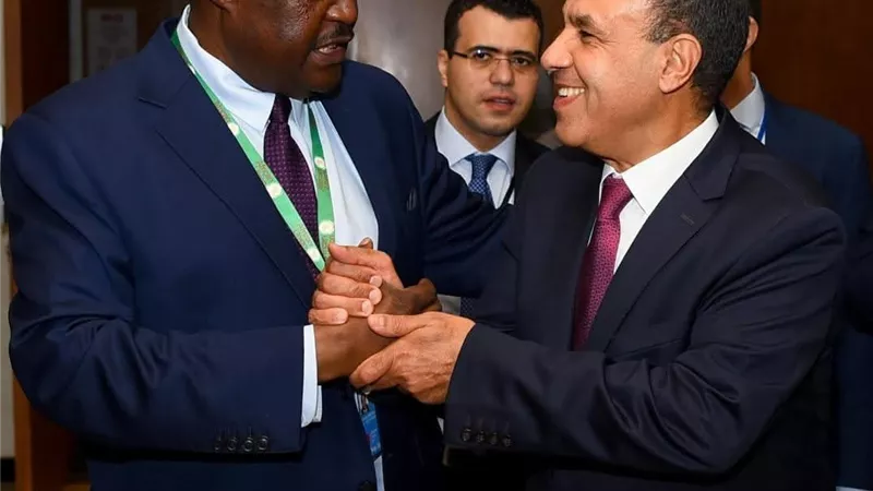 وزير الخارجية لرئيس برلمان عموم أفريقيا: لا بد من إنهاء المعاناة الإنسانية في السودان