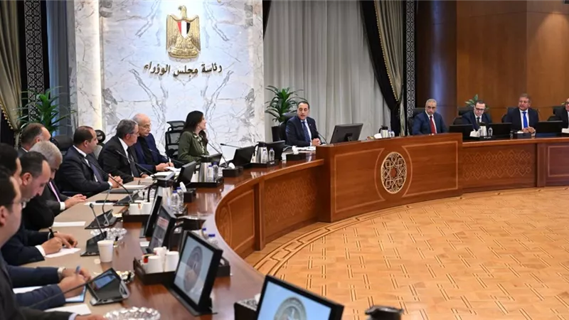 مدبولي يتابع مخرجات لجنة 