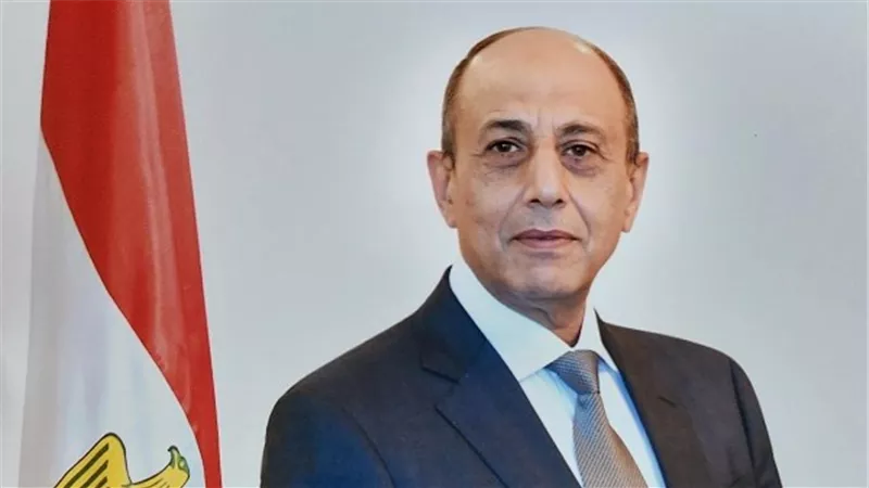 عبدالسند يمامة يهنئ الفريق محمد عباس حلمي بتوليه منصب رئيس حزب حماة وطن