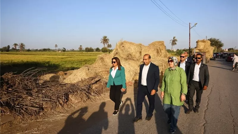 التنمية المحلية: الإسراع في جمع قش الأرز للاستفادة منه وإنهاء ظاهرة الحرق