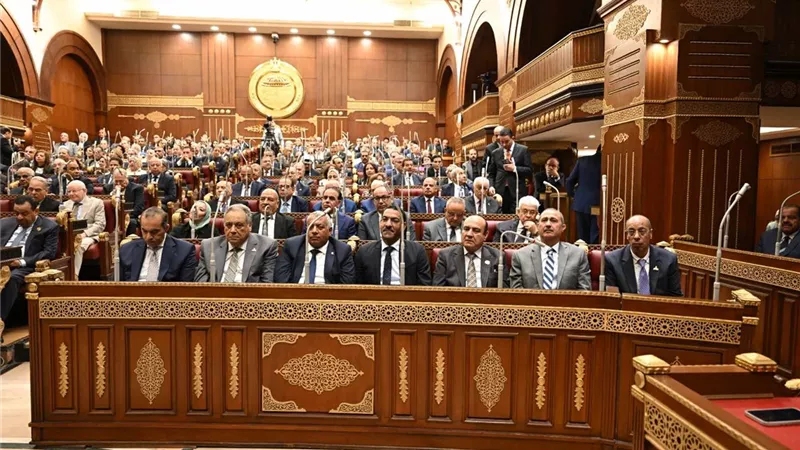 رئيس الشيوخ: دعمنا التشريع والرقابة.. ومصر ثابتة على مواقفها تجاه فلسطين