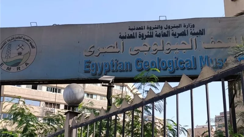 صندوق تطوير التعليم: دمج الأكاديمي بالأنشطة اللاصفية لإعداد جيل مبتكر