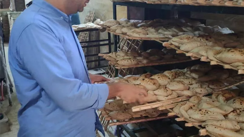 ضبط 256 مخالفة تموينية بالمنيا بينها 239 بالمخابز البلدية
