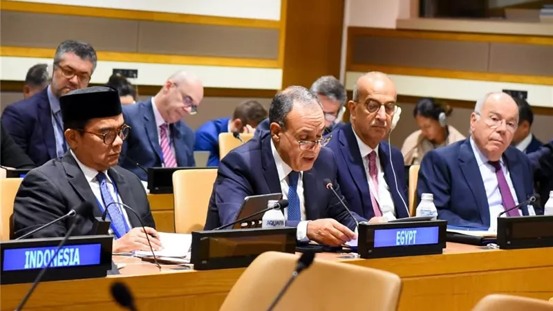 مصر تشارك في اجتماع وزراء خارجية البريكس وتؤكد دعمها للتنمية العادلة وحل الدولتين