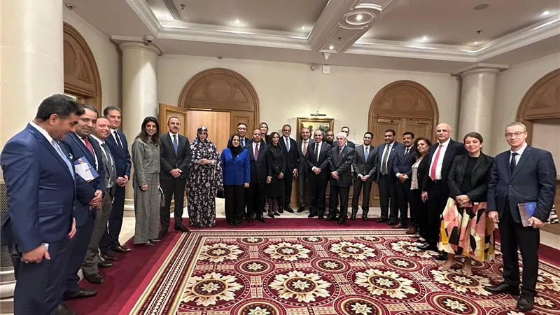 وزير الخارجية يبحث دعم ترشيح خالد العناني لليونسكو مع السفراء العرب بباريس