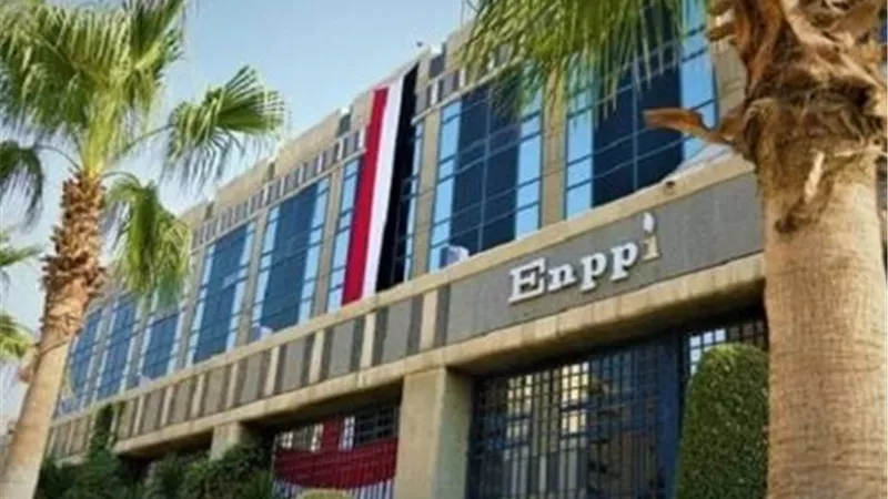 إنبي تدخل نادي المائة الكبار عالميًا.. وبتروجت تقترب وصان مصر تظهر لأول مرة في تصنيف ENR الأمريكي