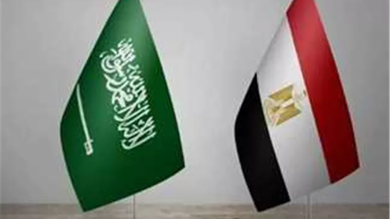 نواب وسياسيون: القاهرة والرياض شريكان في حماية الأمن العربي وتعزيز الاستقرار الإقليمي