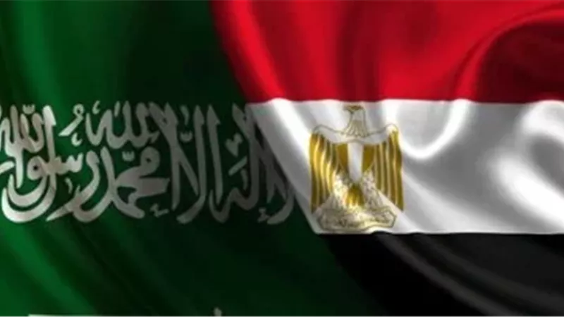 مسعود: العلاقات بين مصر والسعودية تستند إلى رصيد كبير من المحبة بين الشعبين