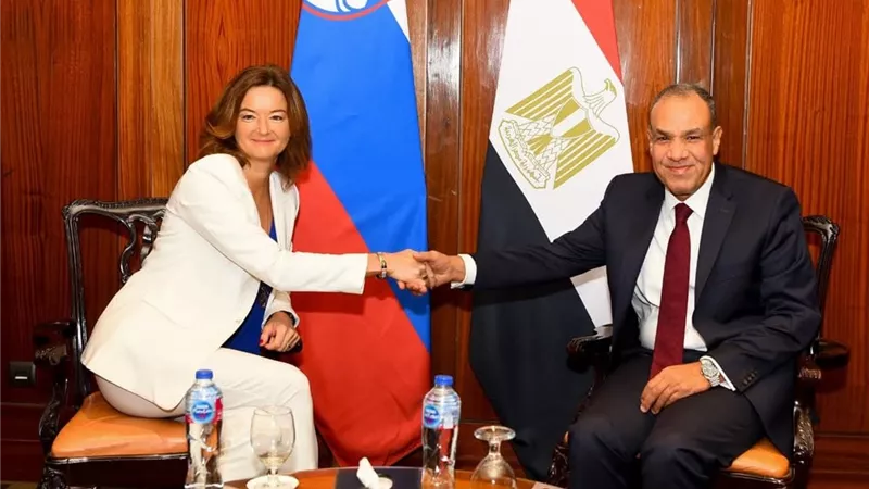 مناقشة الأوضاع الإقليمية.. تفاصيل لقاء وزير الخارجية مع نظيرته السلوفينية