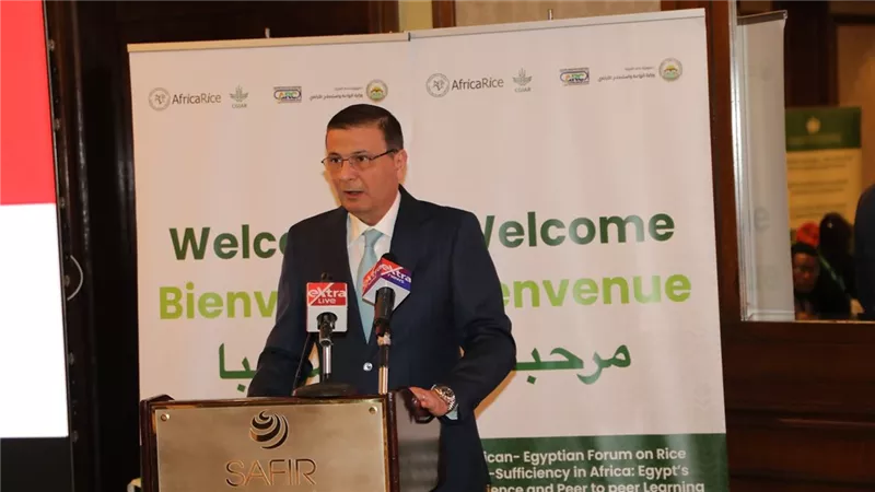 مصر تتفوق على العالم في الأرز.. وزير الزراعة يكشف السر