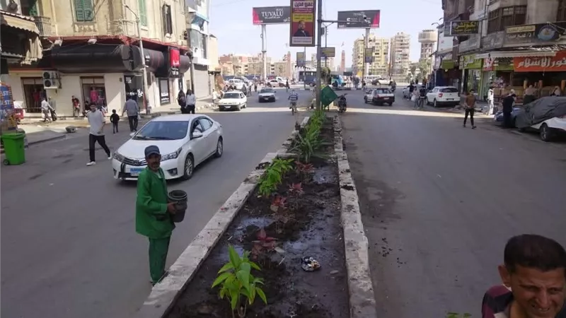 خطوات نحو مدينة خضراء.. الانتهاء من أعمال تشجير وزراعة 18 ألف شجرة في كفر الشيخ والدقهلية