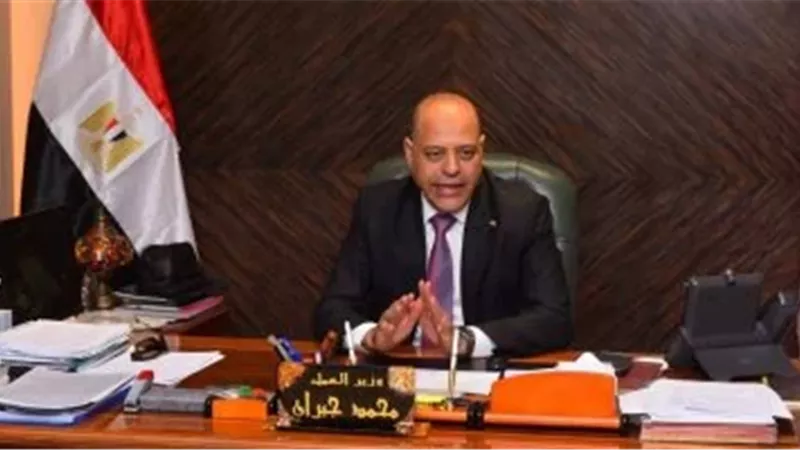 وزير العمل: تحرير محاضر ضد 493 منشأة لم تلتزم بتطبيق الحد الأدنى للأجور خلال 4 أيام