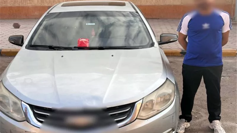 جريمة ضد الحيوان.. سائق يواجه التحقيق بعد تسميم كلاب بحدائق الأهرام