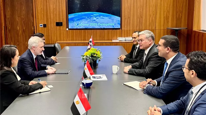 وزير البترول يبحث مع شلمبرجير وتوتال وشيفرون تعزيز استثمارات الغاز