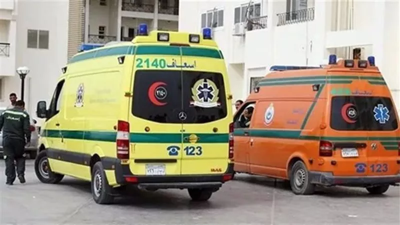 مصرع شخصين في حادث تصادم مروع بين سيارتين نقل على الطريق الصحراوي الغربي بالمنيا