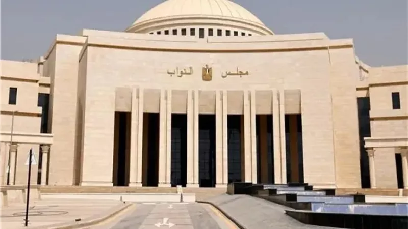 8 محظورات في دعاية انتخابات النواب 2025.. وغرامة 100 ألف جنيه للمخالفين