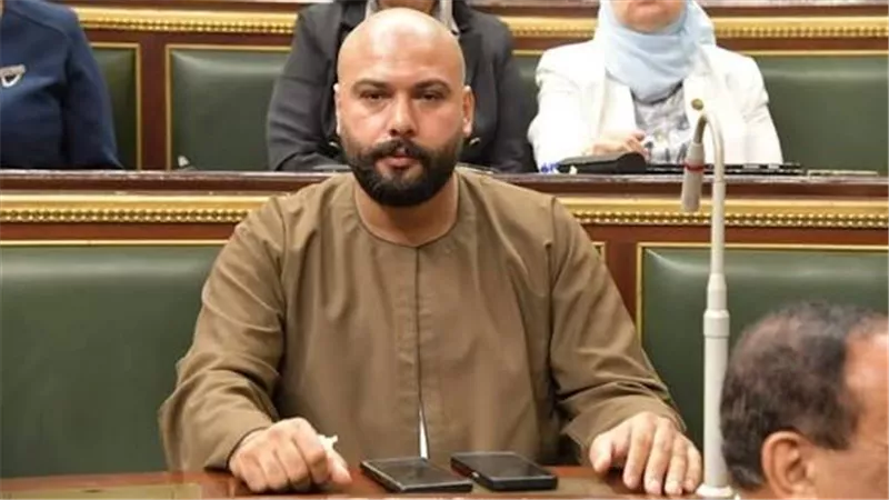 برلماني: مبادرات الرئيس تضع المواطن في قلب التنمية بعد تهميش الريف