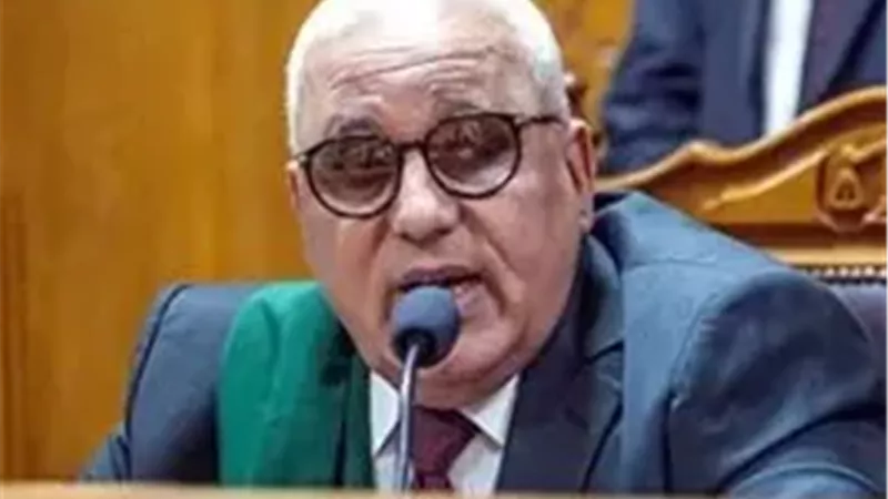 المؤبد لـ9 متهمين والمشدد 15 عامًا لآخر في قضية 