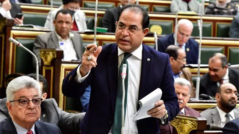 النائب سليمان وهدان: مجلس الشيوخ يشكل ركيزة أساسية في دعم المنظومة التشريعية