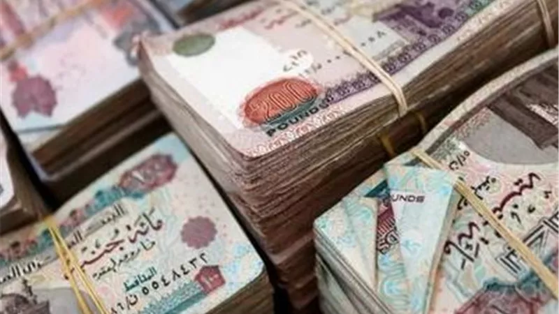 كيف تستفيد من مبادرة الـ90 مليار جنيه لدعم المشروعات الصناعية والزراعية؟