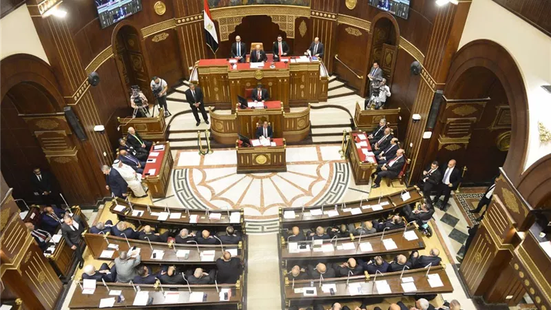 برلماني: حوافز دعم مصانع إنتاج الصاج تساعد على ضخ استثمارات جديدة في الصناعة