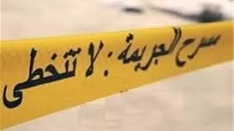طفل يقتل زميله ويحول جثته لأشلاء في الإسماعيلية.. والتحريات تكشف مفاجأة