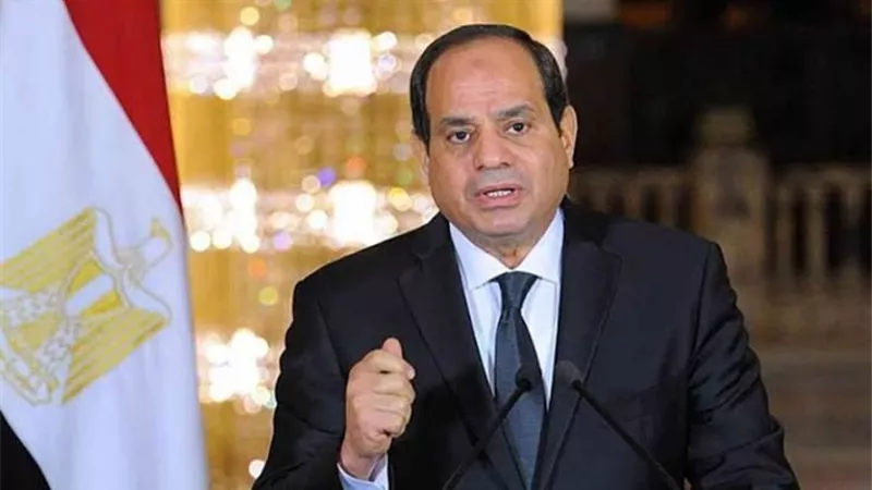 الرئيس السيسي يؤكد أن إفريقيا من أكثر القارات تضررًا من الأزمات الدولية المتلاحقة