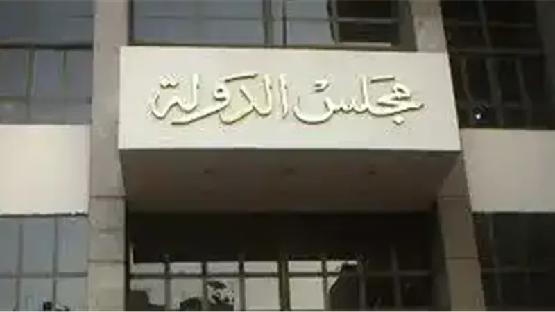 206 طعون انتخابية أمام القضاء الإداري.. والفصل خلال 48 ساعة