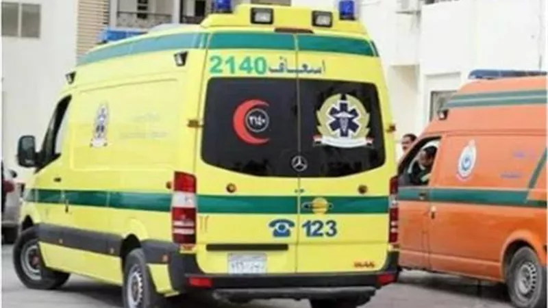 حادث دهس مروع في الشيخ زايد بعد مشاجرة طلابية داخل إحدى المدارس