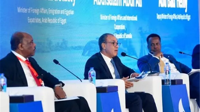 وزير الخارجية: حوكمة البحر الأحمر تظل شأنًا أصيلًا وحصريًا للدول المشاطئة له