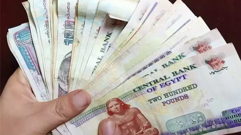 تعرف على الحد الأدنى للأجور حسب الدرجات الوظيفية