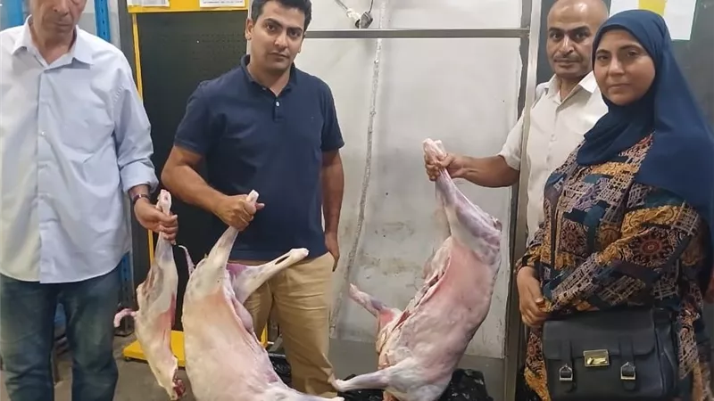 الأغذية الفاسدة.. أطعمة الموت تغزو موائد المصريين بعد انتشار الغش الغذائي