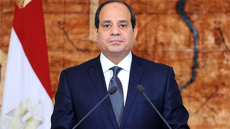 الرئيس السيسي: الحكومة المصرية اتخذت حزمة من الإجراءات فى إطار برنامجها للإصلاح الاقتصادى