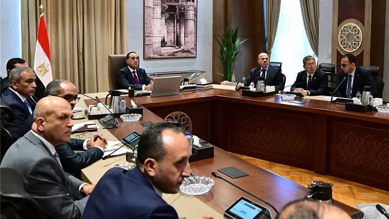 عملاق صيني يعرض الشراكة مع مصر لإقامة مصنع لإنتاج مكونات محطات تحلية المياه