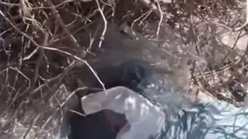 رضيع في مقلب قمامة بالمنيا.. و«ملاك الرحمة» ينقذه ويطلب تبنيه
