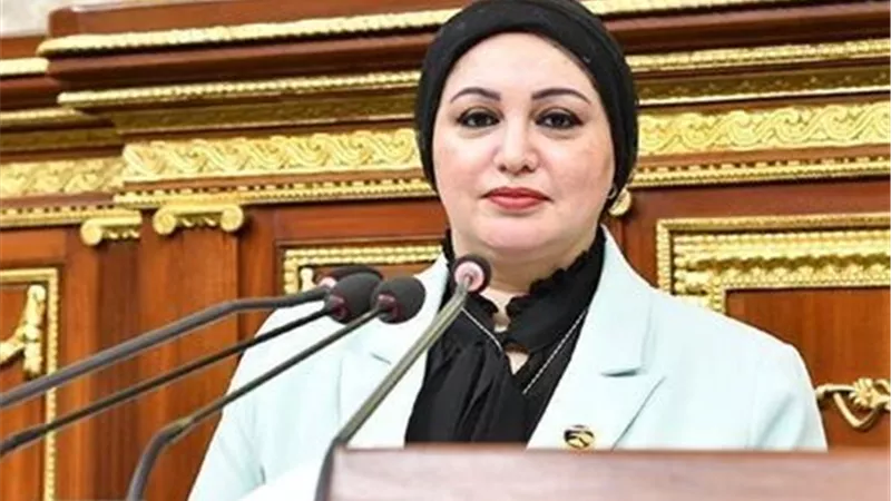 وكيل القوى العاملة بالنواب: كلمة الرئيس السيسي ببروكسل رؤية متكاملة للتعاون والسلام