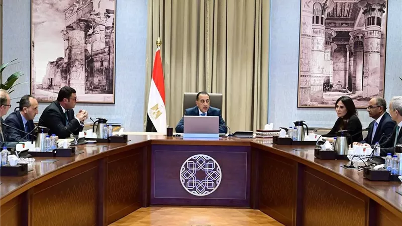 رئيس الوزراء يلتقي الرئيس التنفيذي لشركة 