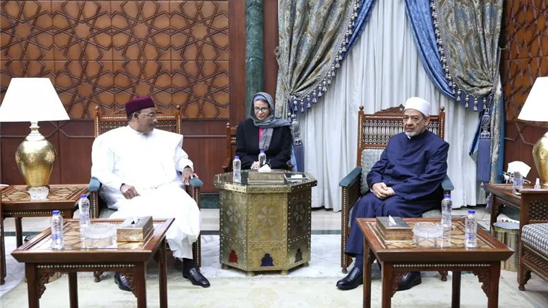 شيخ الأزهر يطلق مبادرة إفريقية للسلام: خطوة تاريخية نحو وحدة القارة السمراء