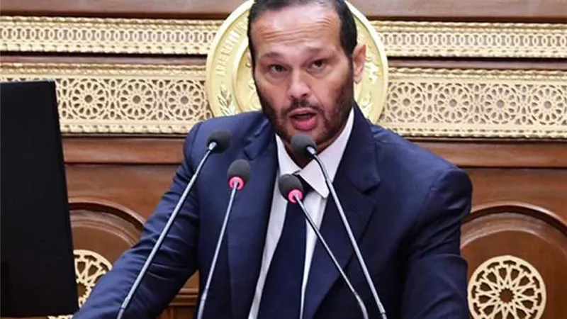  محمد حلاوة رئيسًا.. ننشر هيئة مكتب لجنة الصناعة بمجلس الشيوخ 